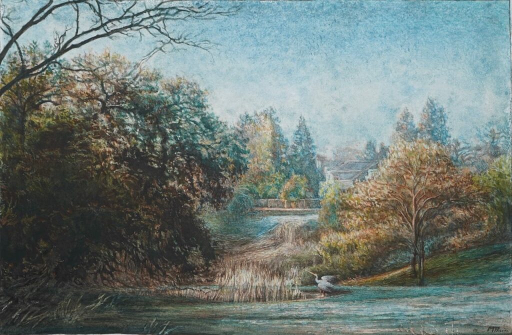 The Heron of the Marshes