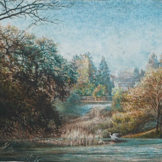 The Heron of the Marshes